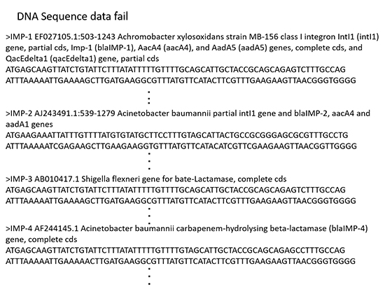 IMP各バリアントのDNA Sequenceファイル例